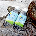 川内村（福島県）のふるさと納税のお礼品