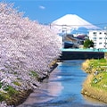 木更津市（千葉県）のふるさと納税のお礼品
