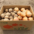 北見市（北海道）のふるさと納税のお礼品