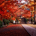 基山町（佐賀県）のふるさと納税のお礼品
