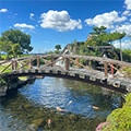 甲良町(滋賀県)のふるさと納税のお礼品