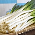 九十九里町（千葉県）のふるさと納税のお礼品