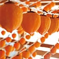 国見町（福島県）のふるさと納税のお礼品