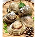 桑名市（三重県）のふるさと納税のお礼品