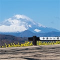二宮町（神奈川県）のふるさと納税のお礼品