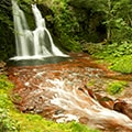 西興部村（北海道）のふるさと納税のお礼品
