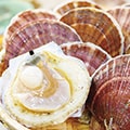 野辺地町（青森県）のふるさと納税のお礼品