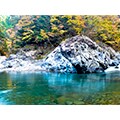野迫川村（奈良県）のふるさと納税のお礼品