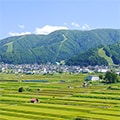 野沢温泉村（長野県）のふるさと納税のお礼品