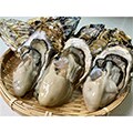 入善町（富山県）のふるさと納税のお礼品