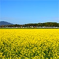 遠賀町（福岡県）のふるさと納税のお礼品