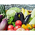 大鹿村（長野県）のふるさと納税のお礼品