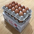忍野村（山梨県）のふるさと納税のお礼品