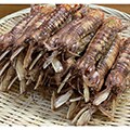 小樽市（北海道）のふるさと納税のお礼品