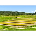 志賀町（石川県）のふるさと納税のお礼品