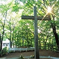 新郷村（青森県）のふるさと納税のお礼品