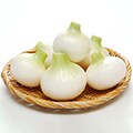 白子町（千葉県）のふるさと納税のお礼品