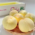 勝央町（岡山県）のふるさと納税のお礼品