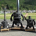 土佐清水市（高知県）のふるさと納税のお礼品