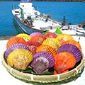 土佐清水市（高知県）のふるさと納税のお礼品