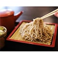 辰野町（長野県）のふるさと納税のお礼品