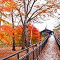 嬬恋村（群馬県）のふるさと納税のお礼品
