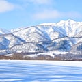 浦臼町（北海道）のふるさと納税のお礼品