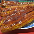 焼津市（静岡県）のふるさと納税のお礼品