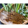 山口市（山口県）のふるさと納税のお礼品