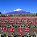 山中湖村（山梨県）のふるさと納税のお礼品