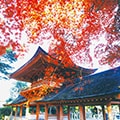 野洲市（滋賀県）のふるさと納税のお礼品