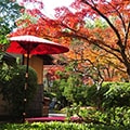 八幡市（京都府）のふるさと納税のお礼品