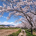四日市市（三重県）のふるさと納税のお礼品