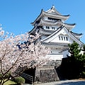 吉野川市（徳島県）のふるさと納税のお礼品