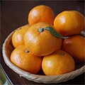 由良町（和歌山県）のふるさと納税のお礼品
