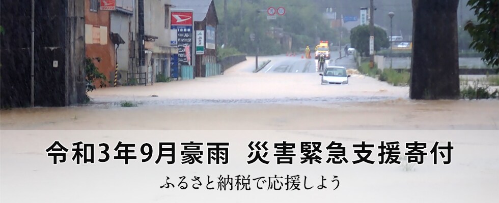 令和3年9月豪雨 災害緊急支援寄付
