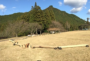 流木を使用して作成した遊具「流木平均台」（あまぎ水の文化村）