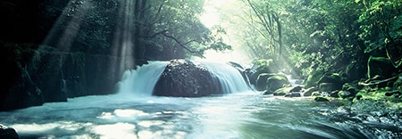 菊池市の風景