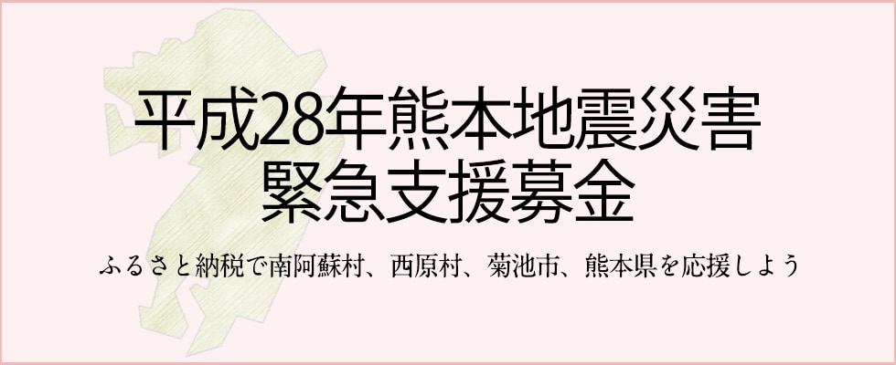 平成28年熊本地震災害緊急支援募金