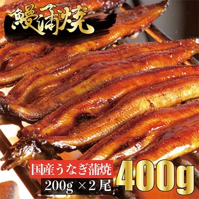国産うなぎ蒲焼200g前後 × 2尾 計400g前後