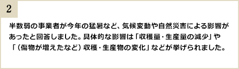 半数弱の事業者が今年の猛暑など、気候変動や自然災害による影響があったと回答しました。具体的な影響は「収穫量・生産量の減少」や「（傷物が増えたなど）収穫・生産物の変化」などが挙げられました。
