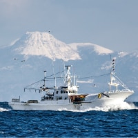 漁船 海 写真