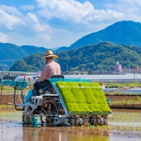 コンバイン 米農家 写真
