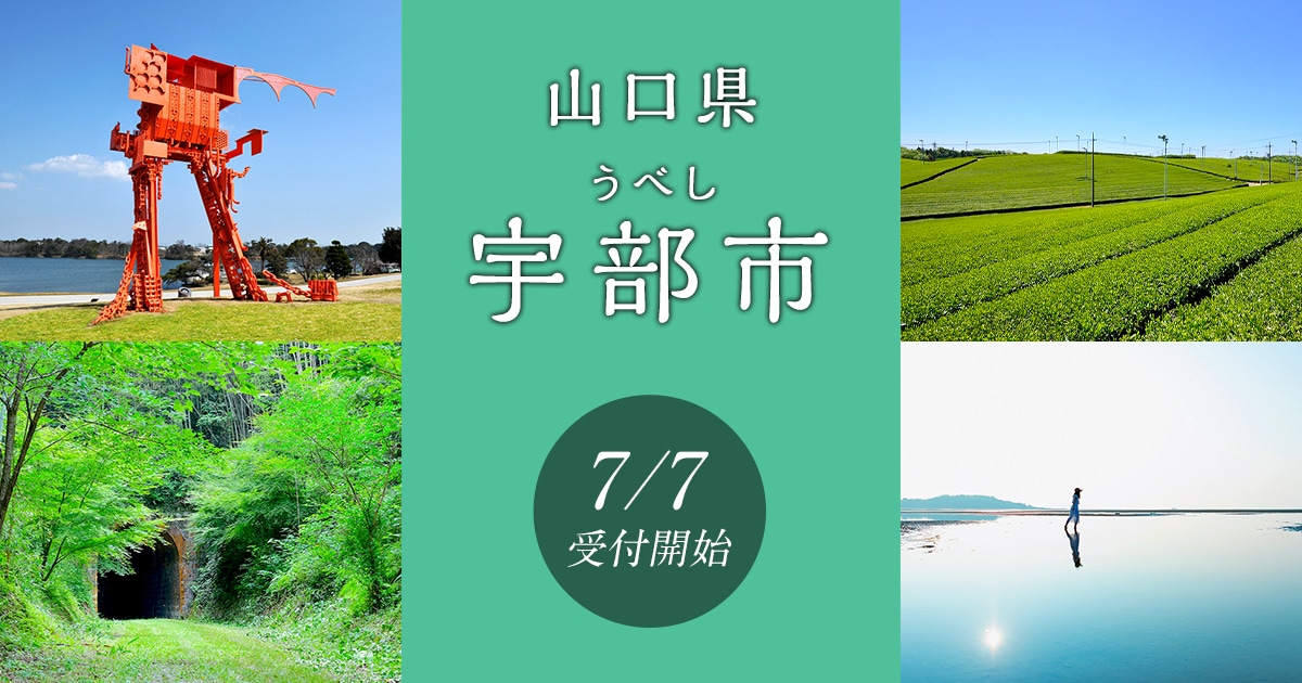 ふるさと納税 服 山口県 宇部市 AMISONJI　ミラノリブジレ パープル AMISONJI　ミラノリブジレ パープル AMISONJI ミラノリブジレ グリーン - 山口県宇部市｜ふるさと