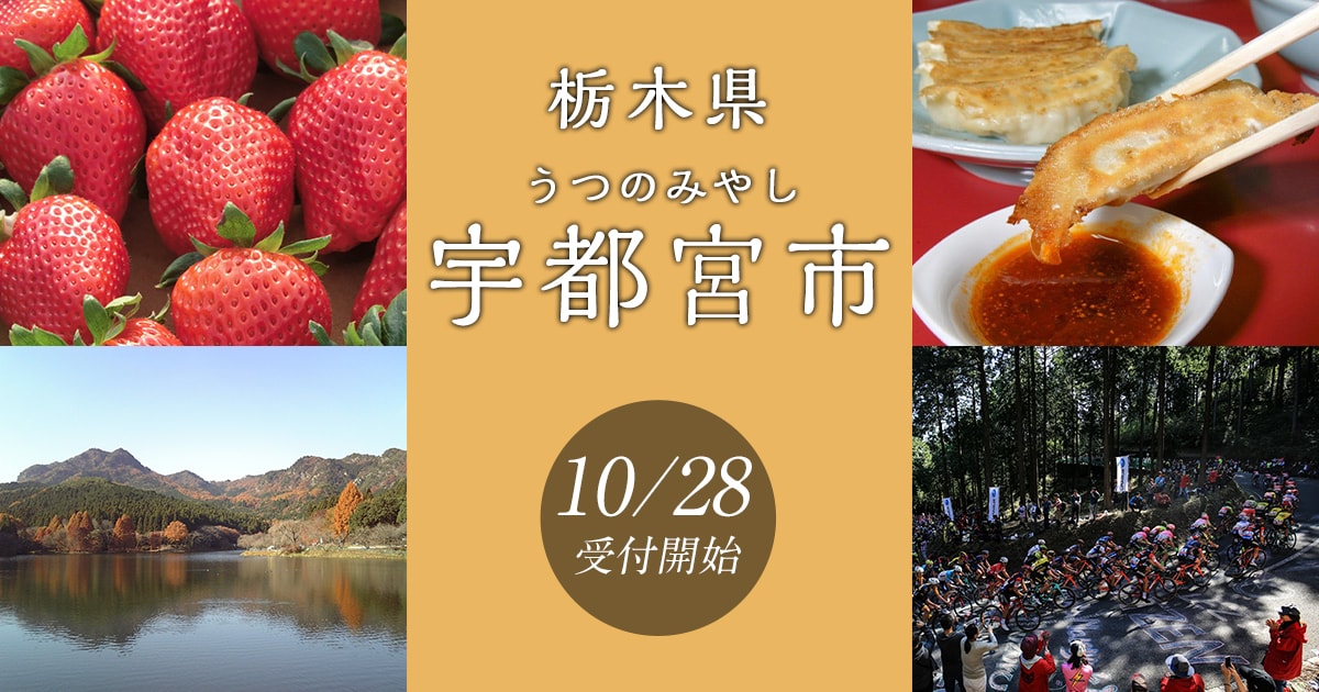 栃木県宇都宮市の地域・お礼品情報 | ふるさと納税サイト【さとふる】