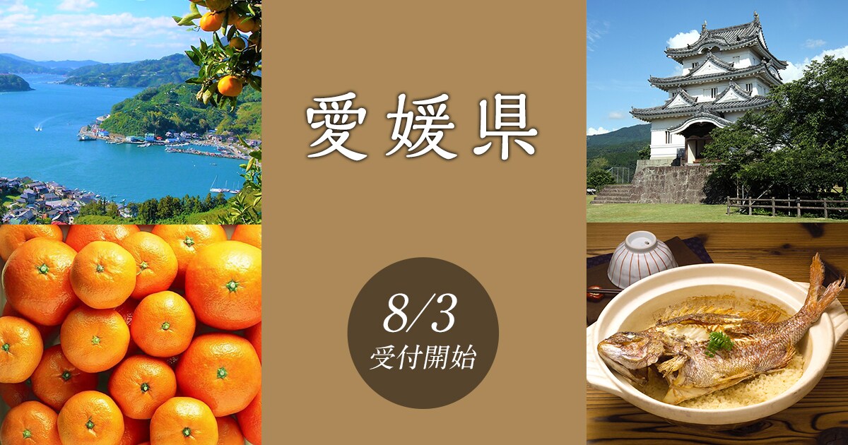 愛媛県の地域・お礼品情報 | ふるさと納税サイト【さとふる】