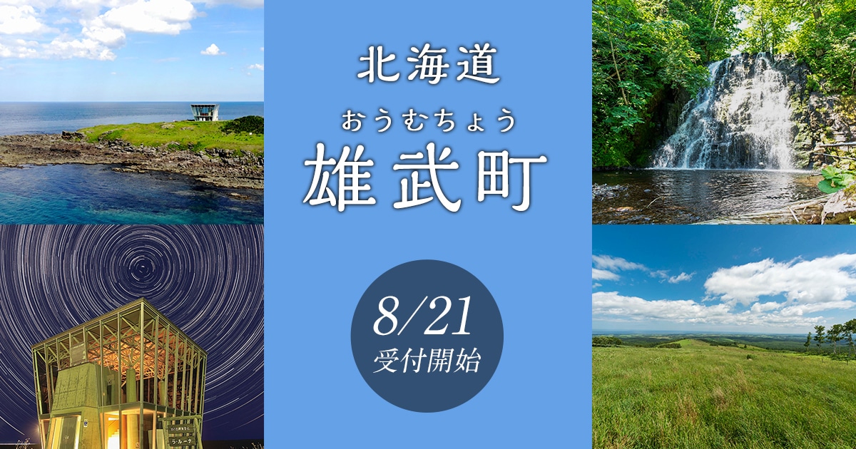 ふるさと納税 雄武町 北海道雄武町産 秋鮭 雄宝 1尾 約2.5kg 山漬 冷凍 楽天