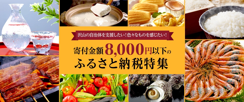 寄付金額8,000円以下のふるさと納税特集