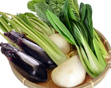 その他(野菜・果物・魚介など) その他(野菜・果物・魚介など)