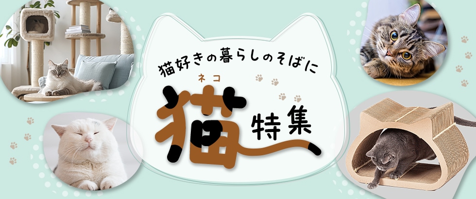 猫好きの暮らしのそばに 猫特集